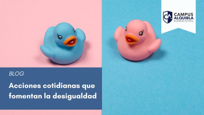 ¿Qué tipo de subvenciones podemos encontrar